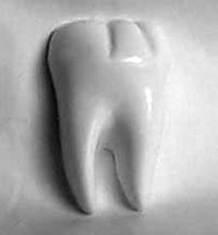 dente bianco e nero
