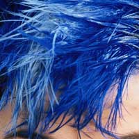 capelli