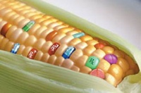 coloranti additivi alimentari