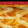 stent vascolare bioriassorbibile