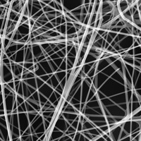 Nanofibre midollo spinale