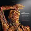 donazione organi