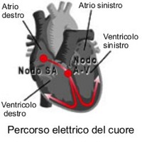 cuore nodo seno-atriale