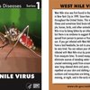 virus nilo