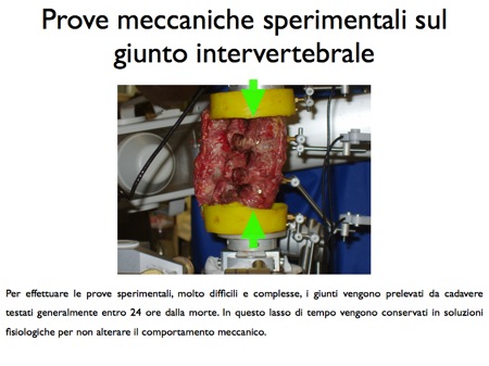 giunto intervertebrale prove meccaniche