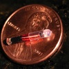 sensore rfid microchip impiantato sotto cutaneo