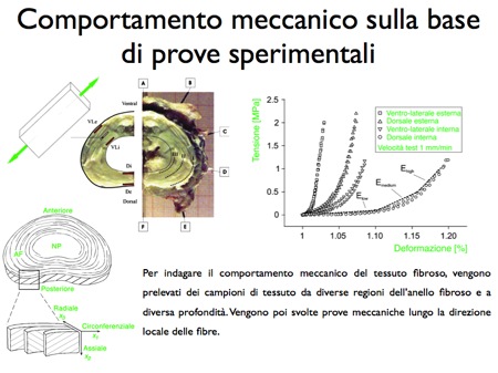 prove sperimentali tessuto fibroso