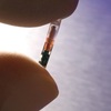 microchip impiantato sotto cutaneo