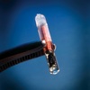rfid microchip impiantato sotto cutaneo umani
