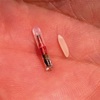 microchip sotto cutaneo