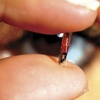 sensore rfid