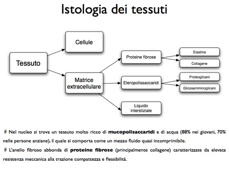 tessuti connettivi disco intervertebrale