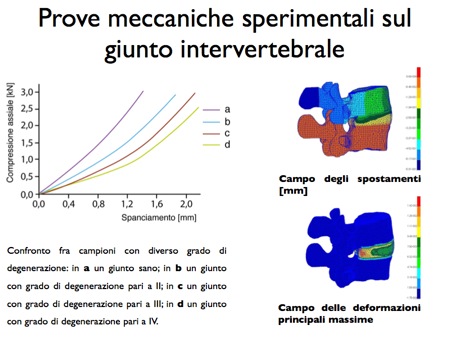 test sperimentali giunto intervertebrale