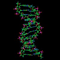 molecola dna terapia genica