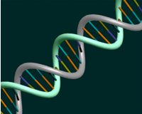dna doppia elica
