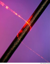 nano fibra ottica nanosonda