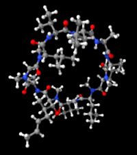 struttura molecolare ciclosporina