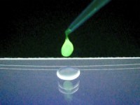 sacche membrane cellule staminali