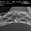 stent-farmaci