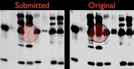 photoshop scienze photoshop immagini scientifiche