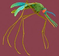 zanzare repellente deet pepe