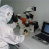 analisi staminali analisi cellule staminali