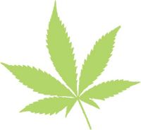 foglia di cannabis