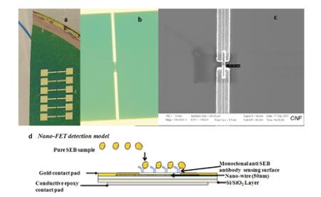 sensore batteri transistor nanotubi