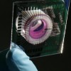 neuroni_cervello_robot1