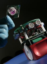 robot cervello topo neuroni