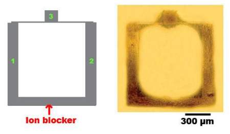 porta and con neuroni porta logica and neuroni circuito neurale