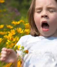 allergia polline allergie