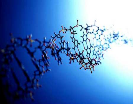 dna doppia elica