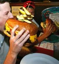 hamburger