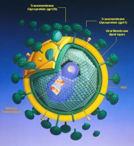 hiv