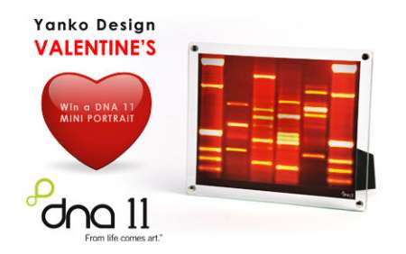 dna san valentino dna san valentino