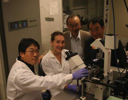 ricercatori Ucsd ricercatori nanotubi cellule staminali