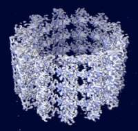 microtubi