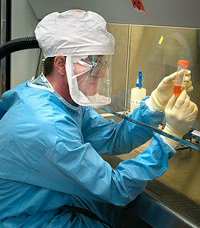 influenza messicana