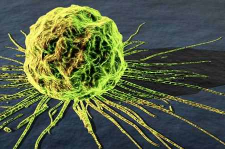 cellula cancerogena