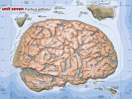 cervello