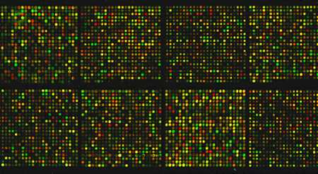 microarray