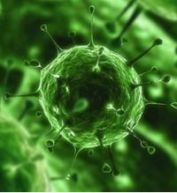 lujo virus
