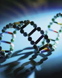 spirale dna