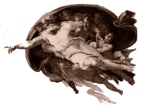 creazione adamo anatomia cervello